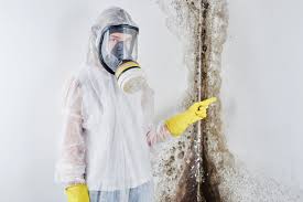 Best Industrial Mold Remediation in Ford City, PA